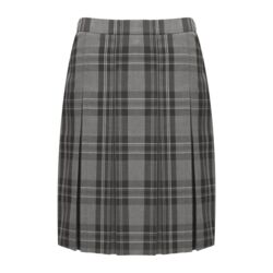 Tartan Pleated Skirt - Junior Thumbnail