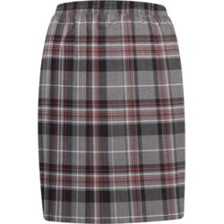 Skye Tartan Skirt Thumbnail
