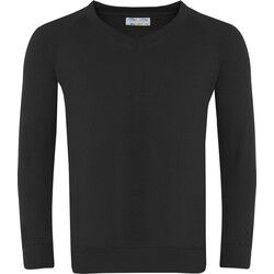 Classic V- Neck Sweatshirt - Senior Thumbnail